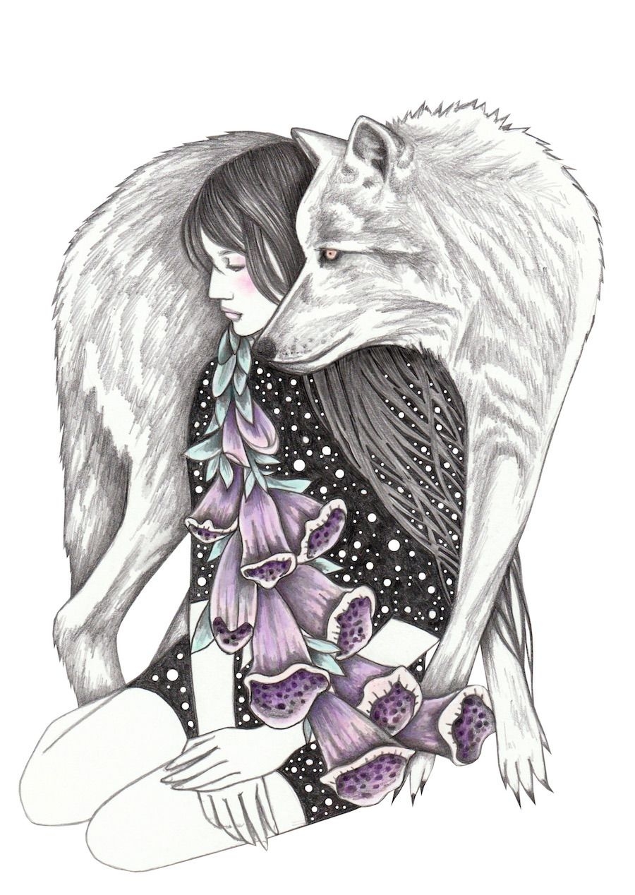 Девушка и волк рисунок