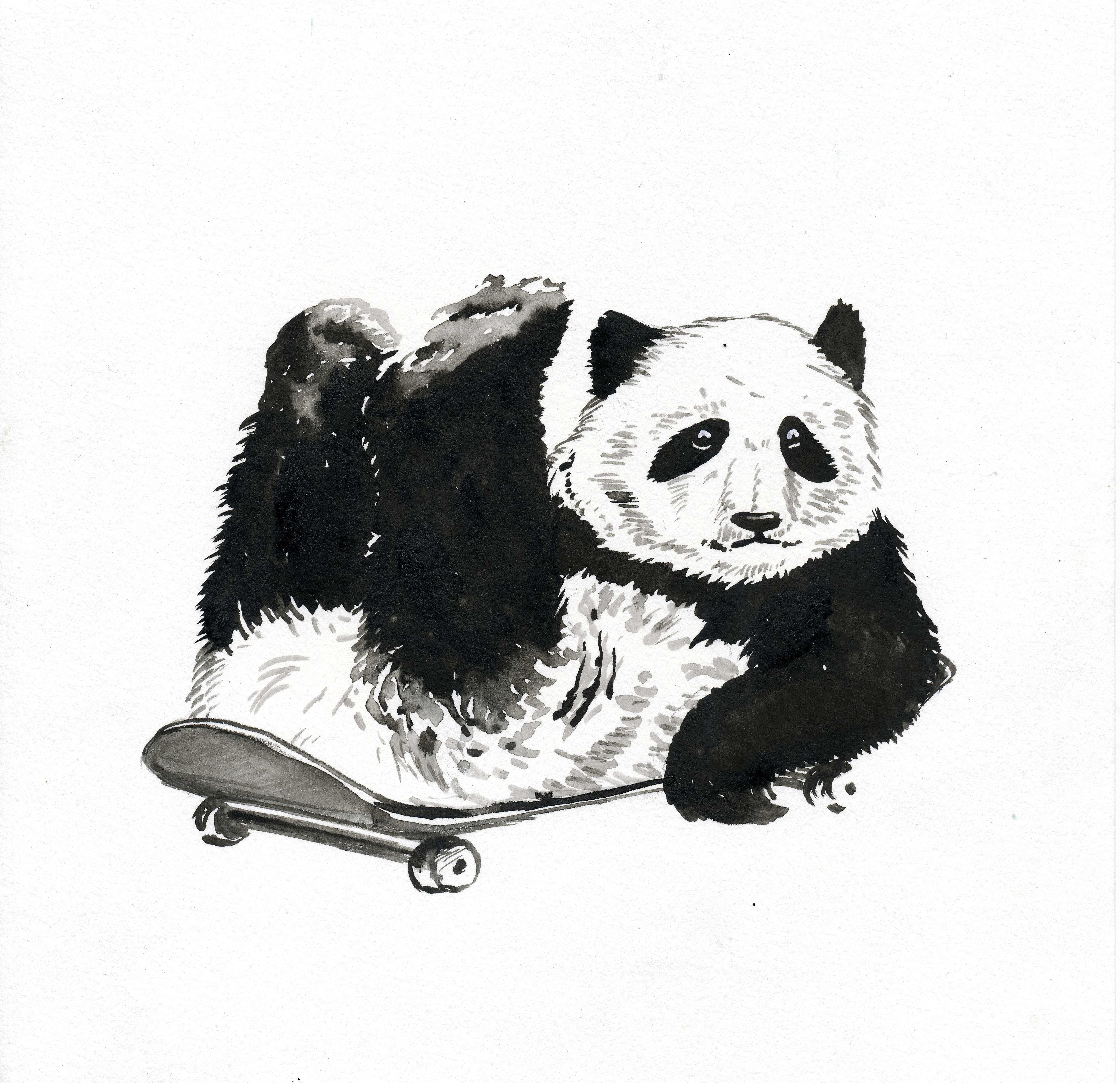Панда эскиз