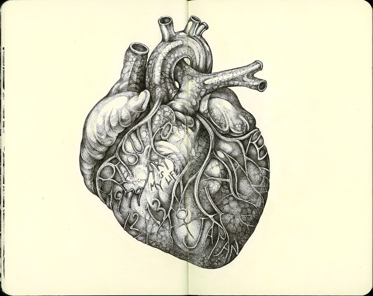 Скетчбук сердце нарисованное