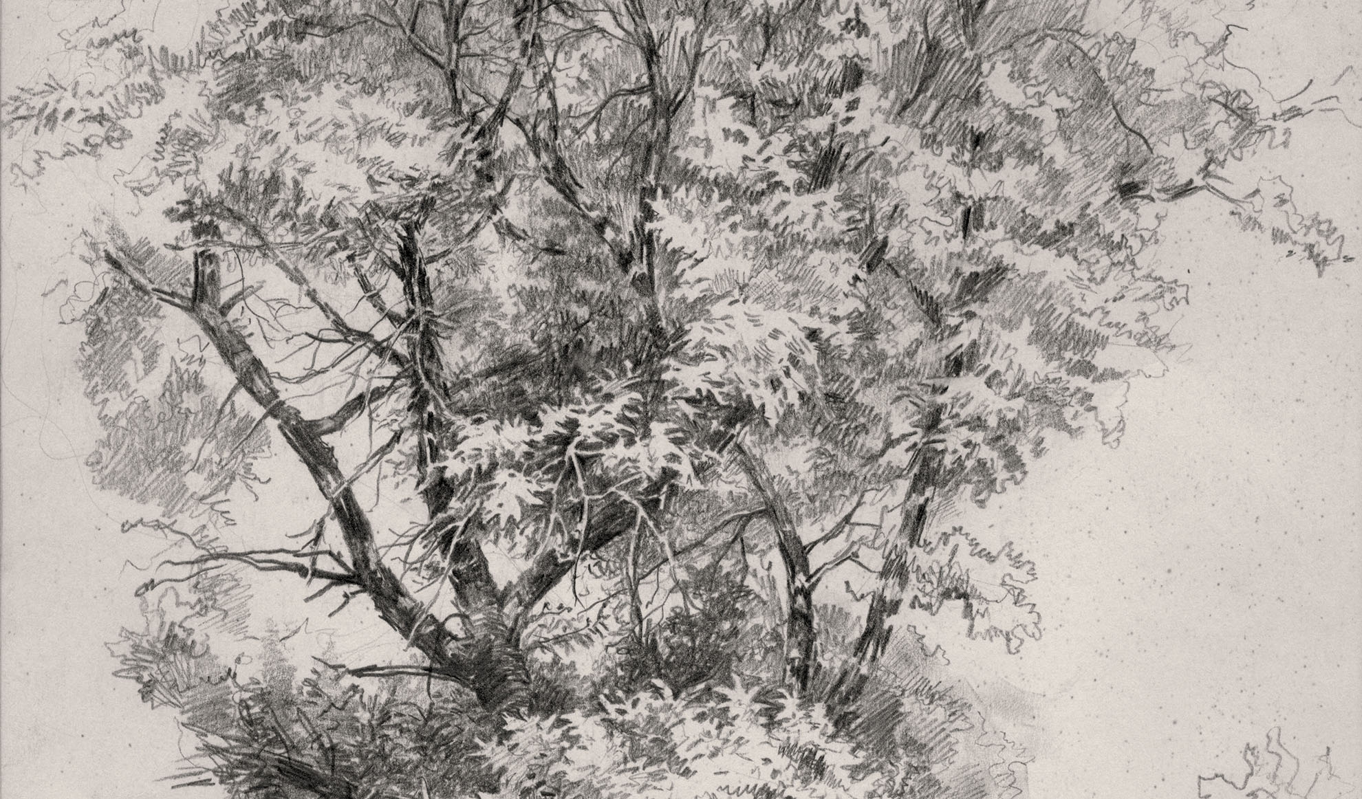 Шишкин осенний лес 1876