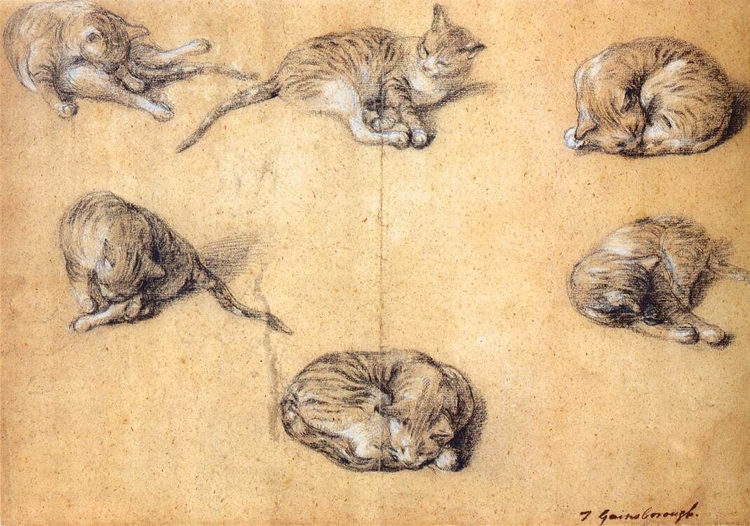 Леонардо да Винчи зарисовки кошек