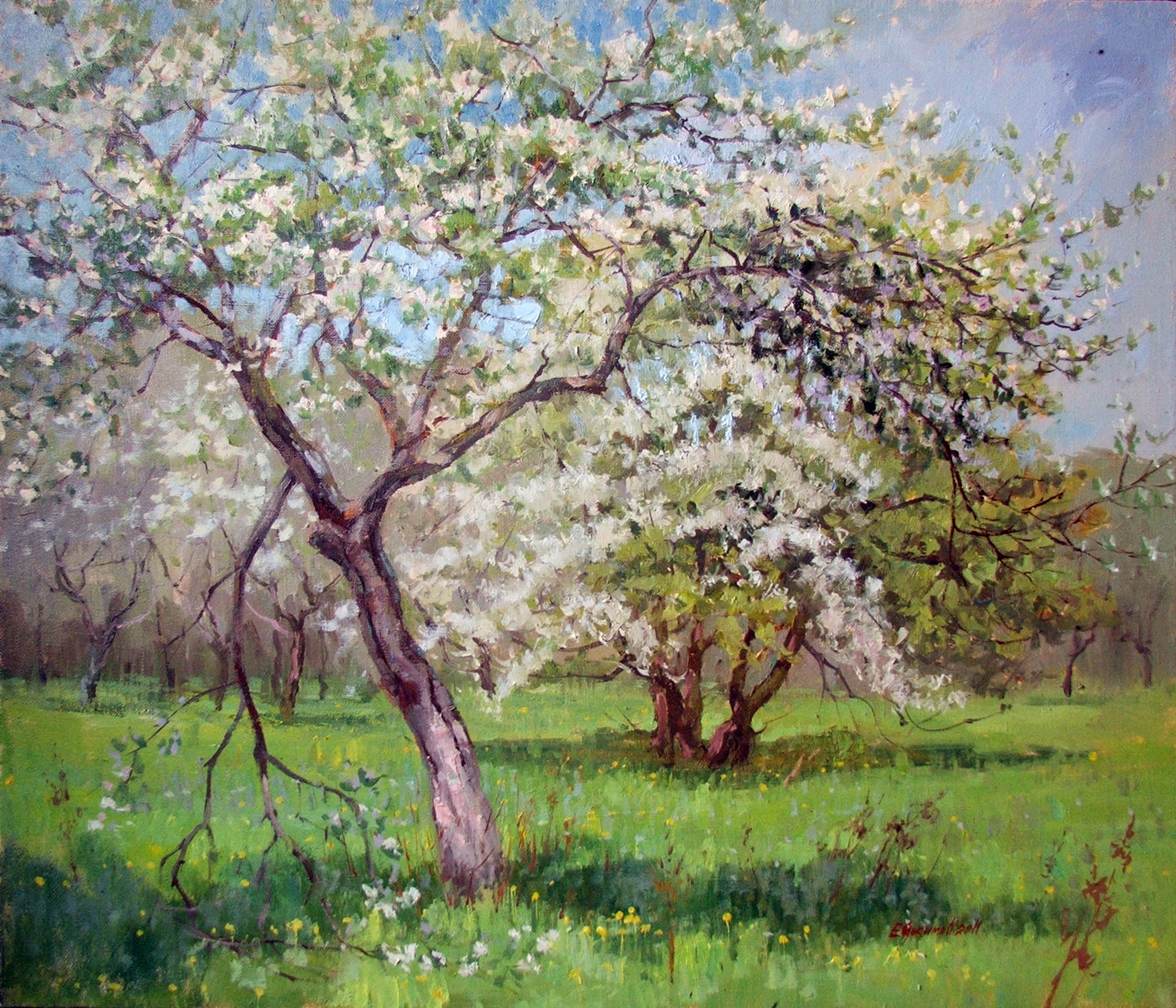 Саврасов цветущие яблони