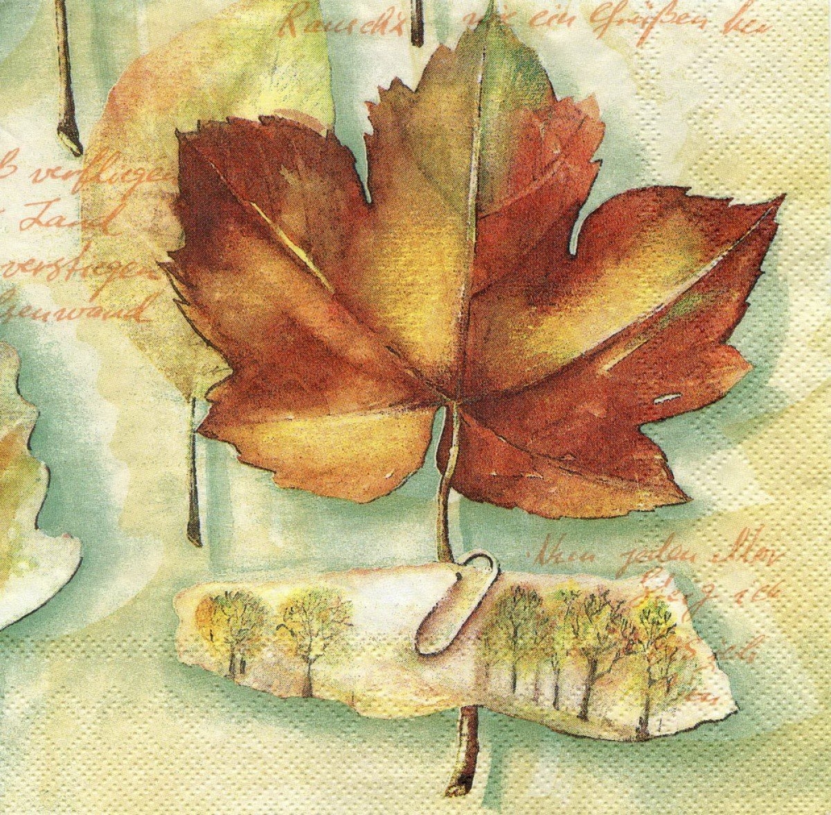Осенний гербарий надпись