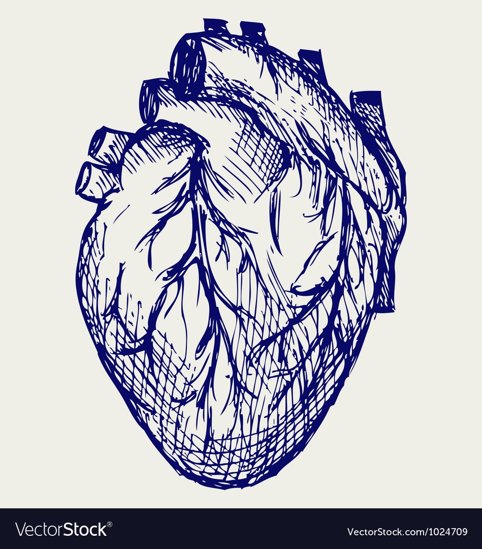 Стилизованное реальное сердце