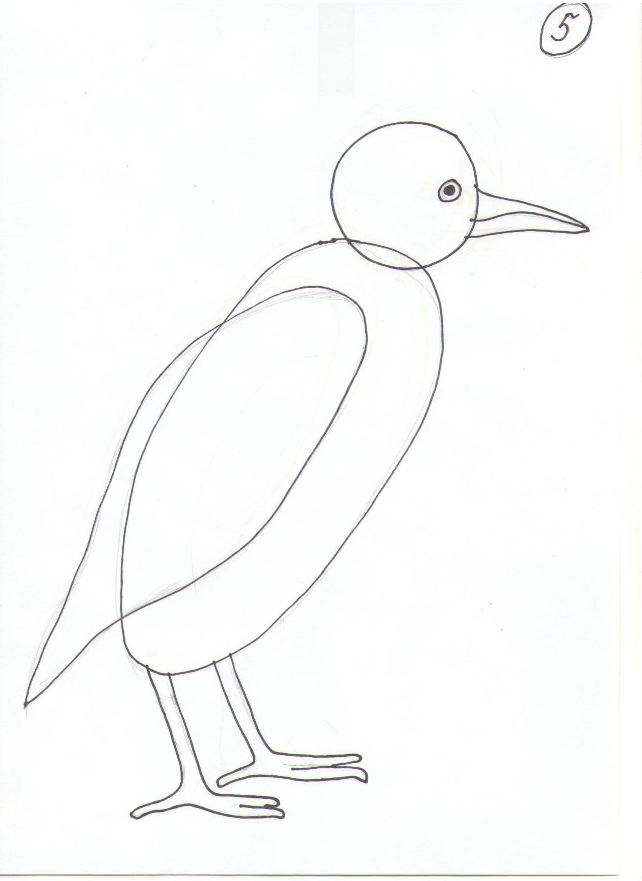 Схема рисования птицы Грач для детей