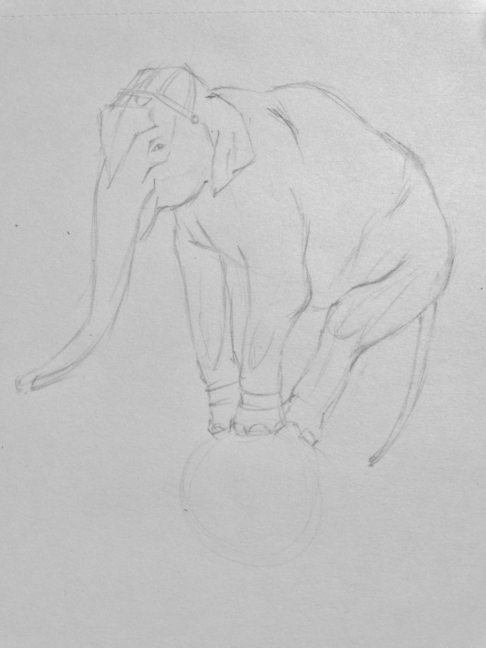 Цирковой слон рисунок карандашом
