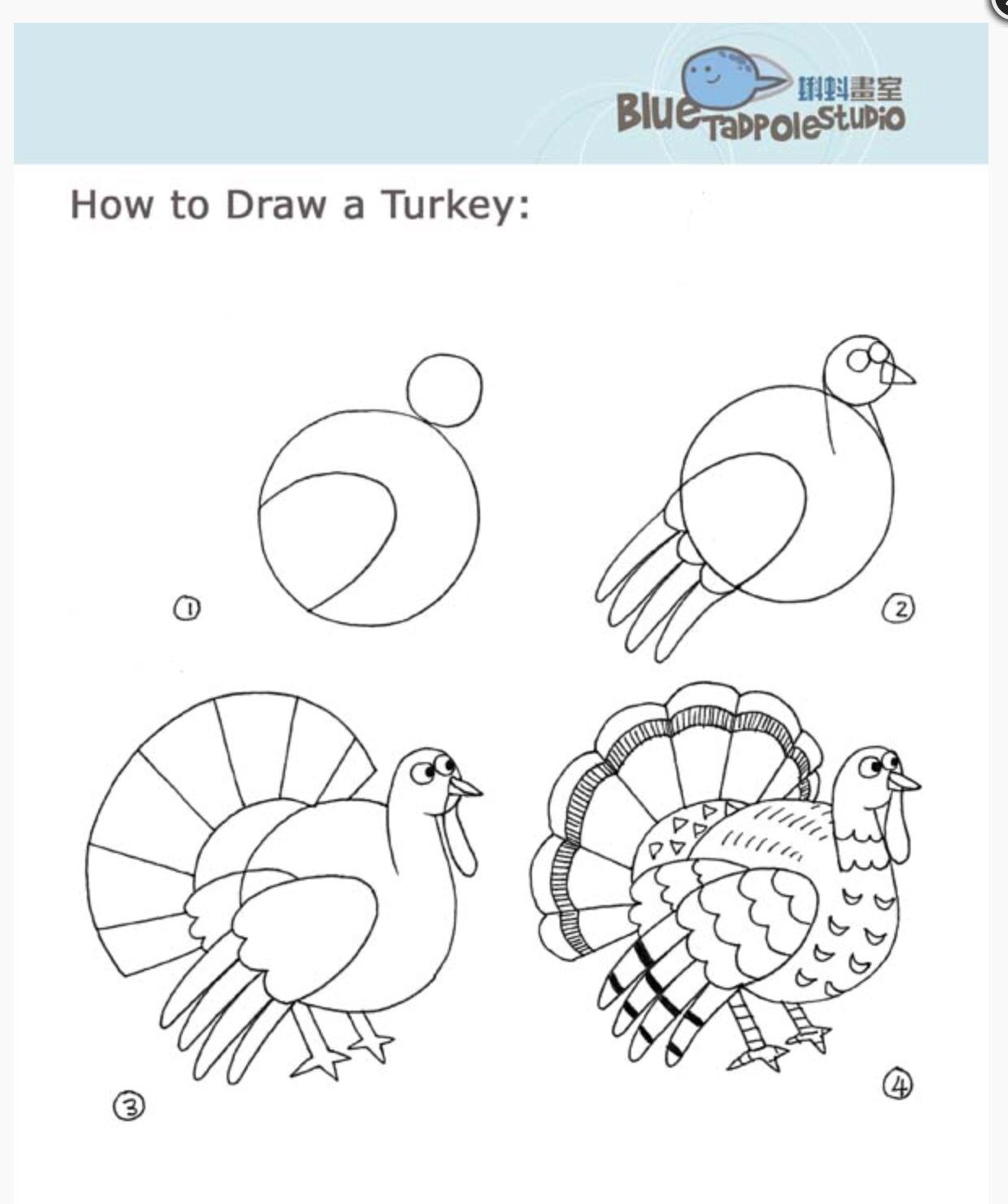 Схема рисования домашних птиц для дошкольников