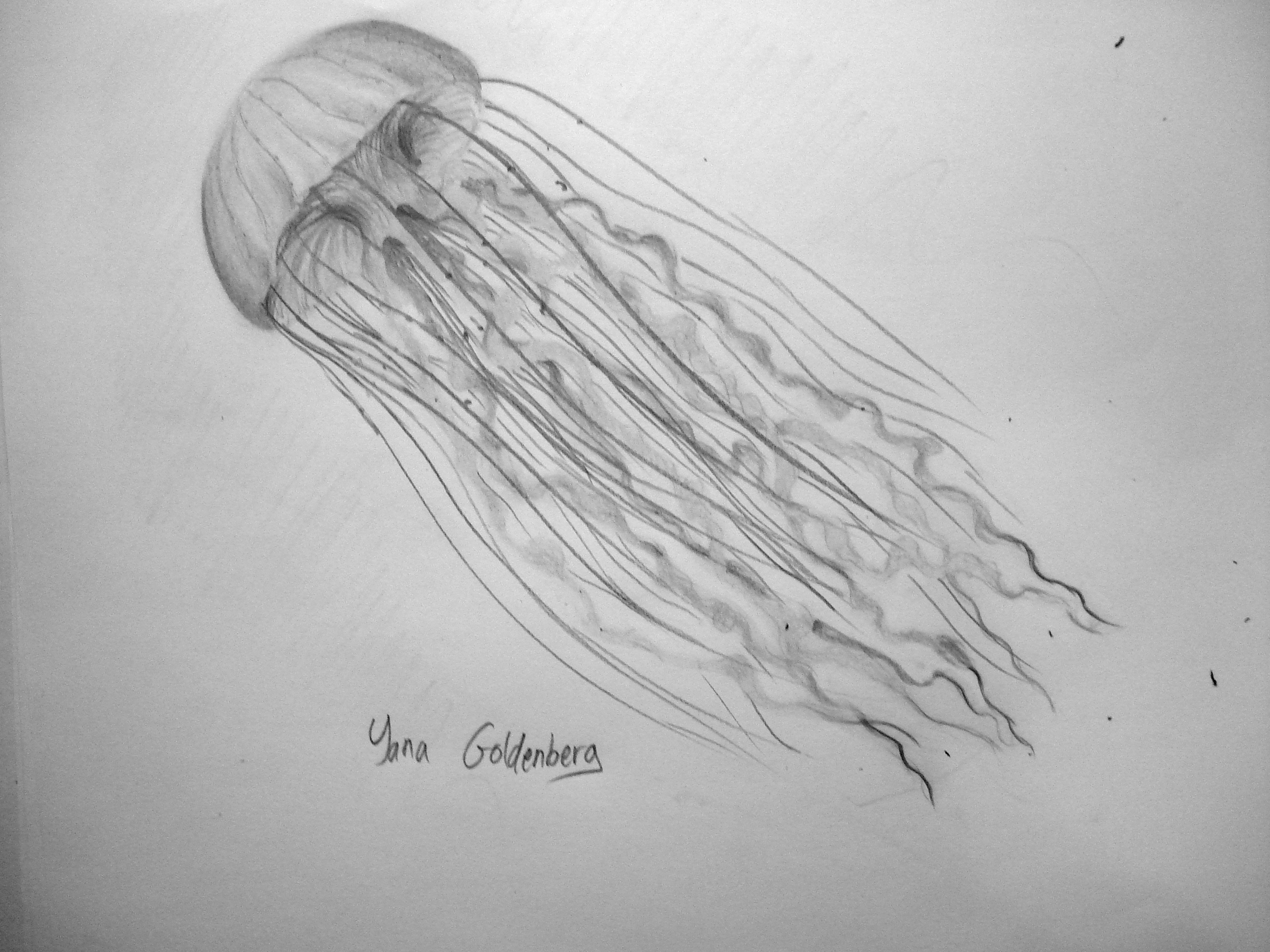 Медуза рисование песком