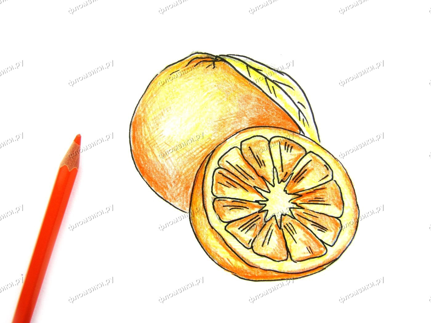 Половина апельсина рисунок