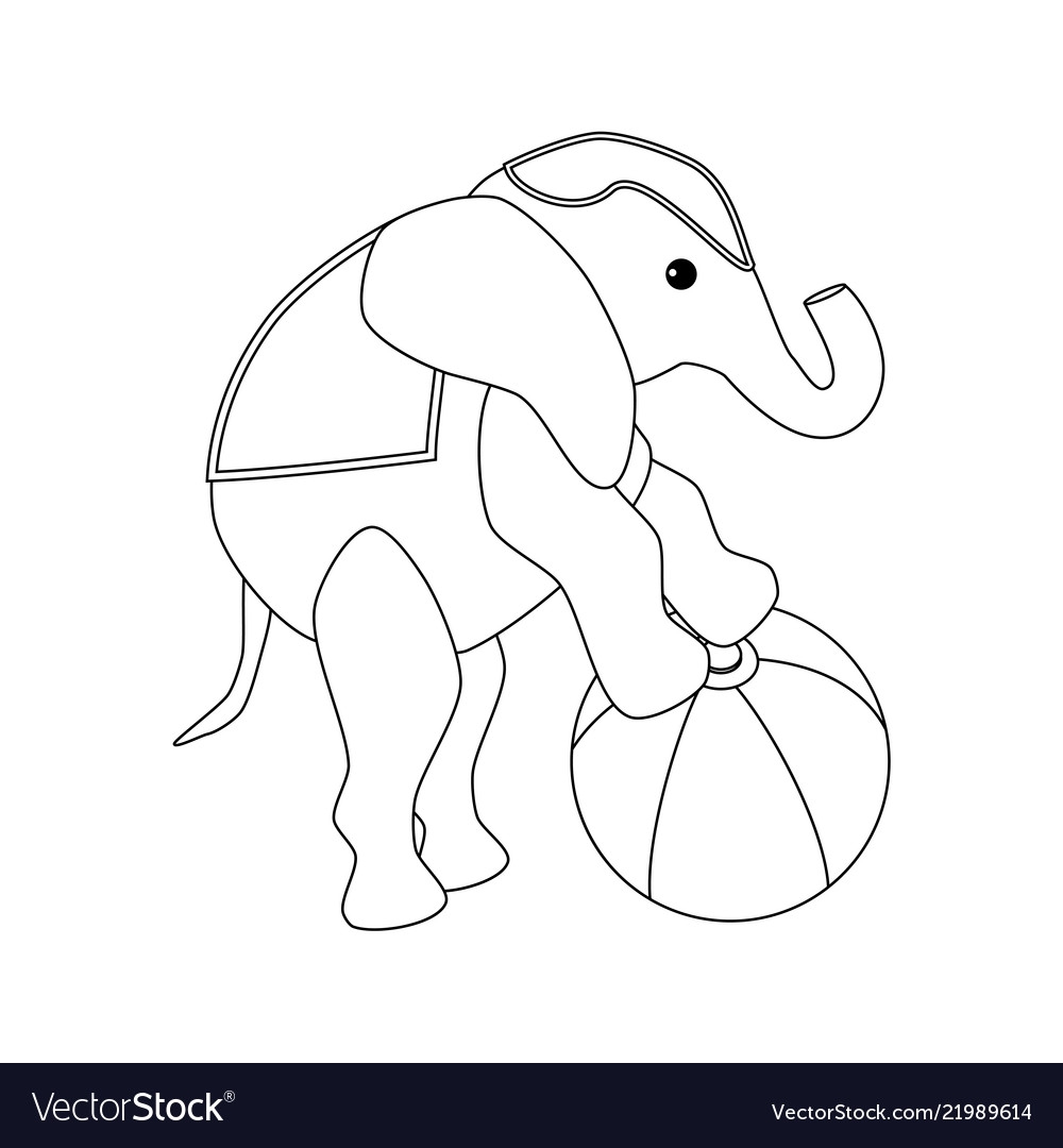 Слон на мяче рисунок