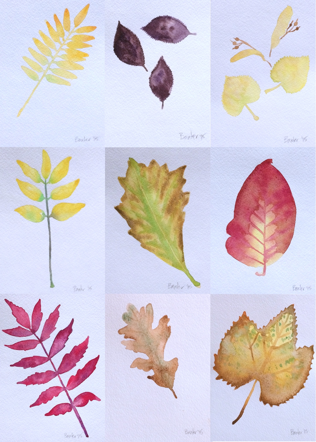Осенний листок поэтапное рисование