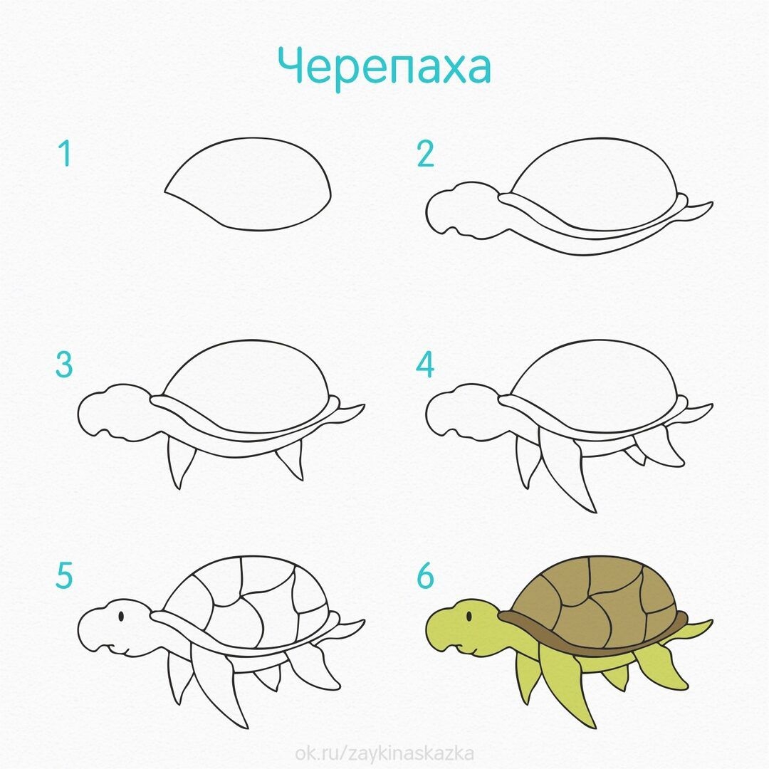 Схемы рисования морских обитателей для дошкольников