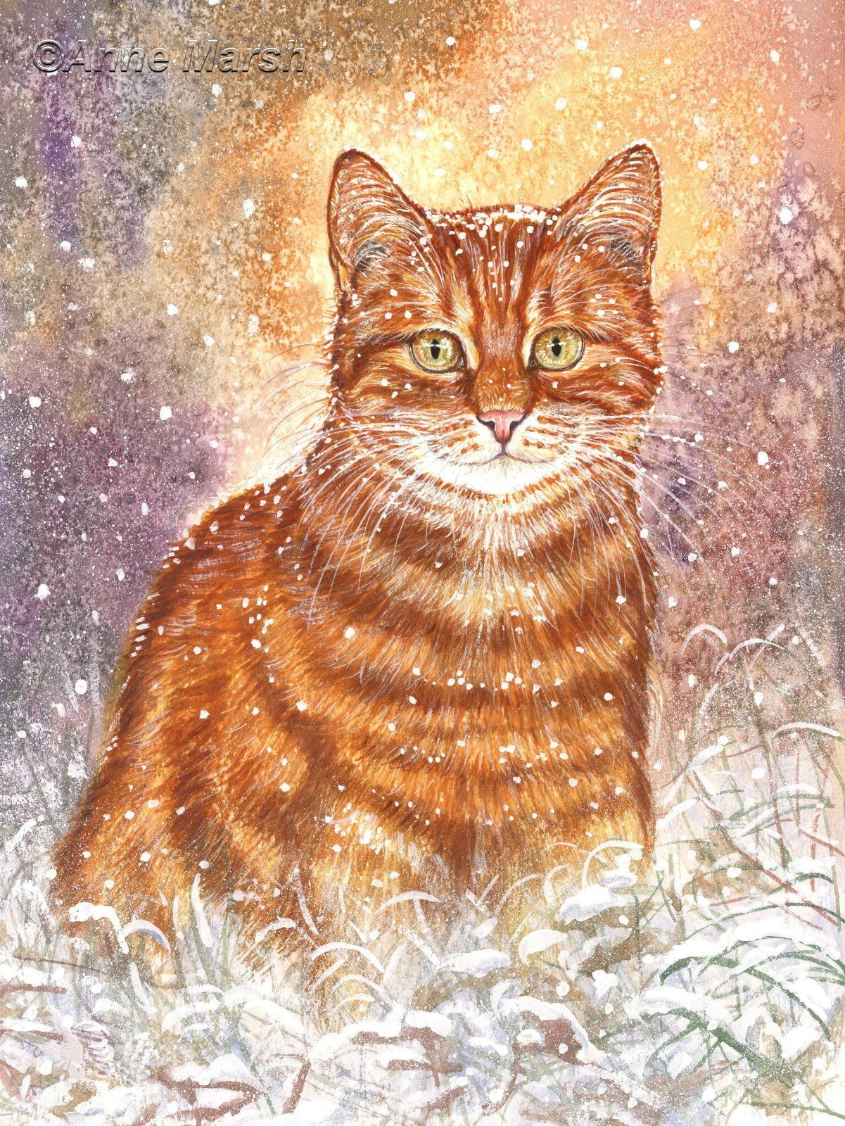 Зимний кот живопись