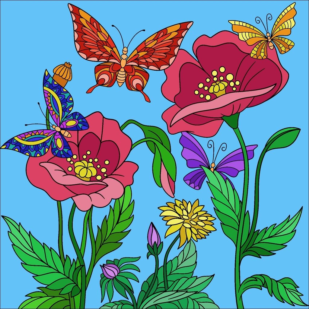 Картинка бабочка раскраска цветная