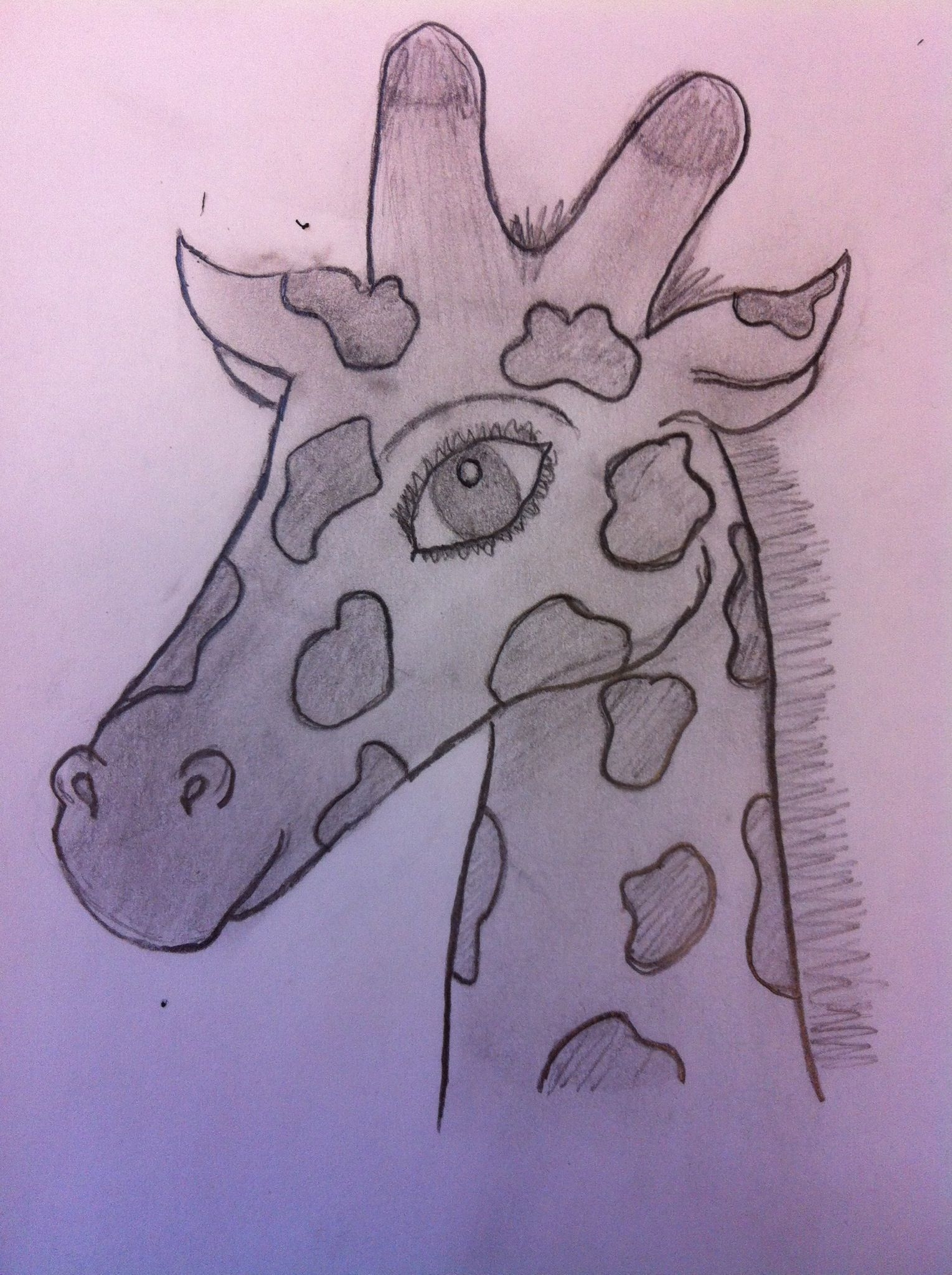 Жираф рисунок карандашом