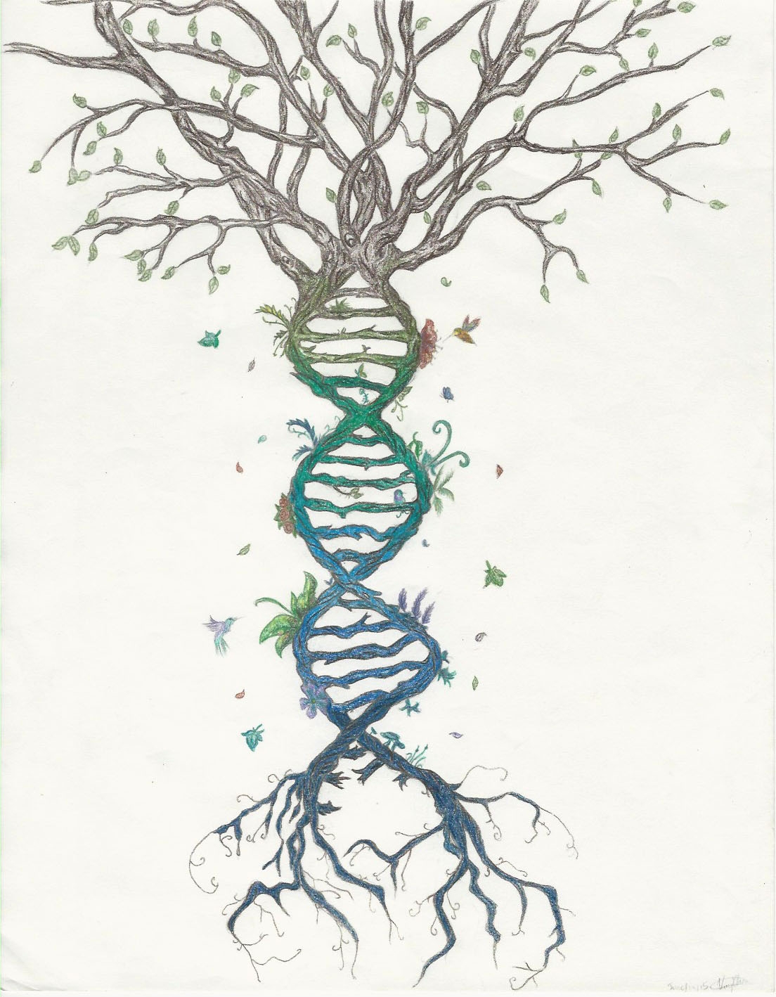 Рисунок ДНК человека