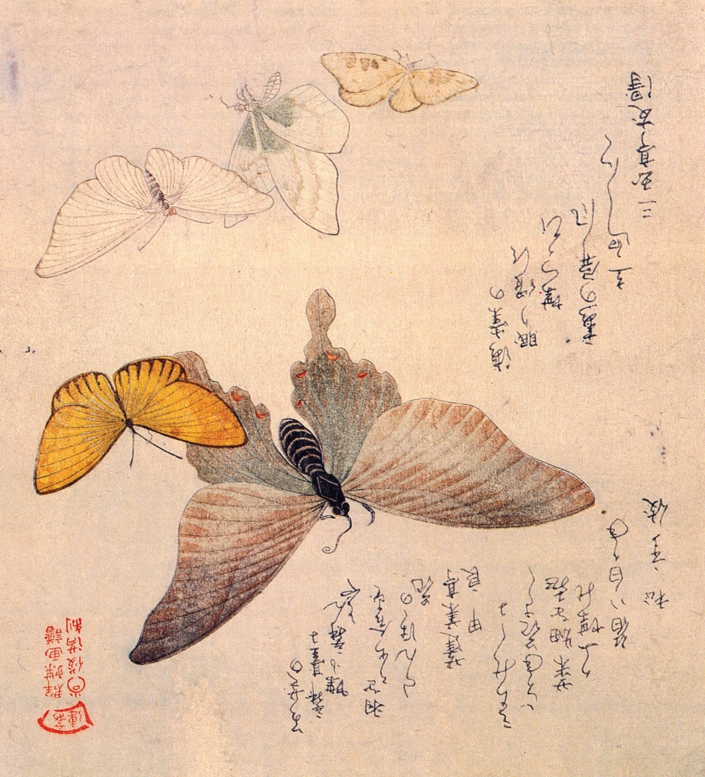 Японские бабочки гравюра укие э