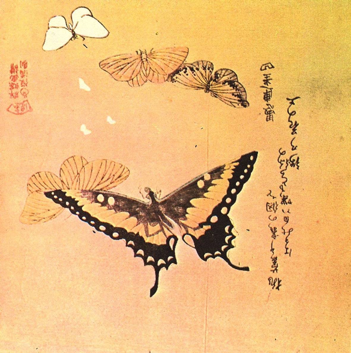 Мацуо басё бабочки полёт
