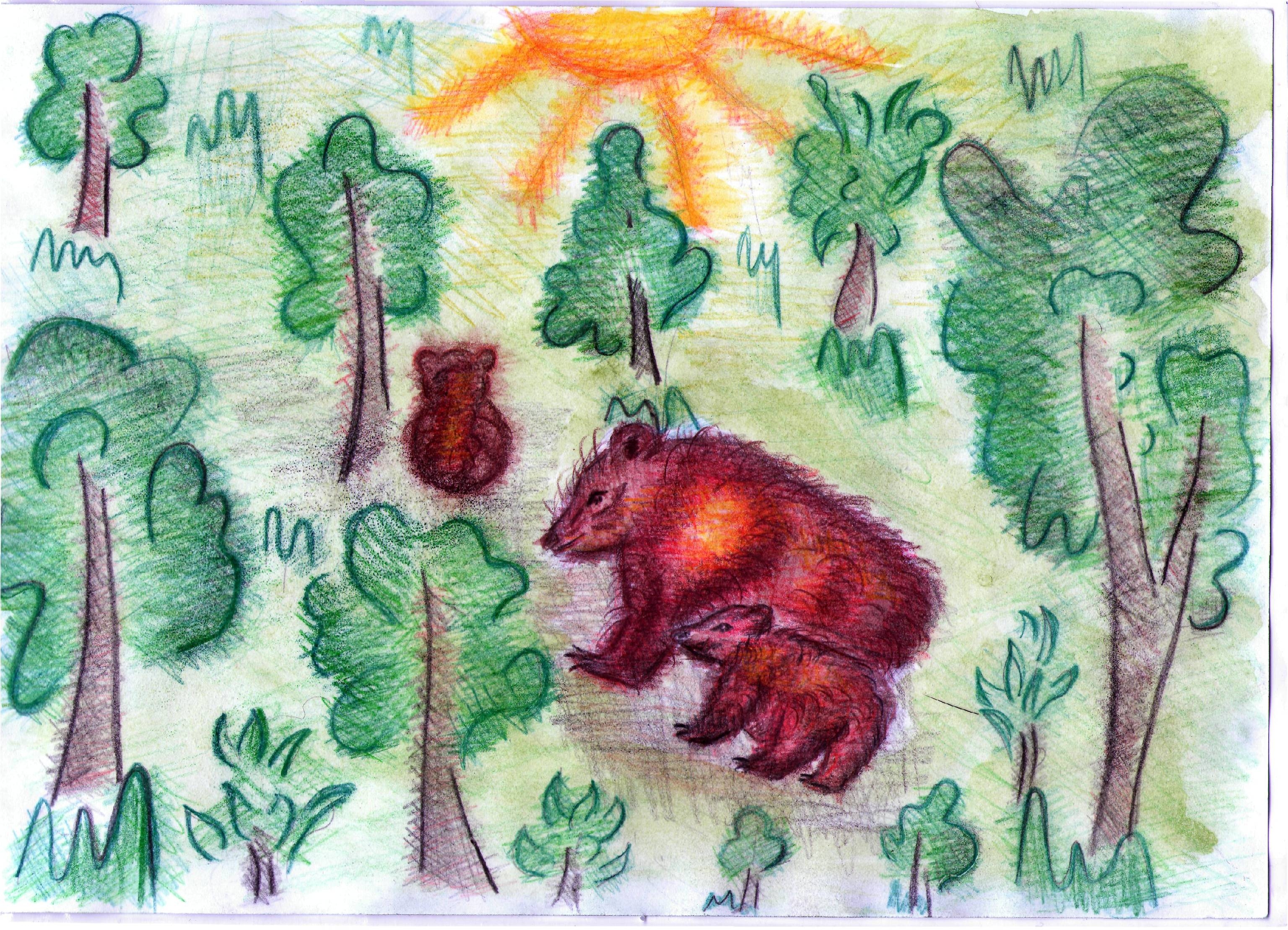 Медведь Бианки рисунок