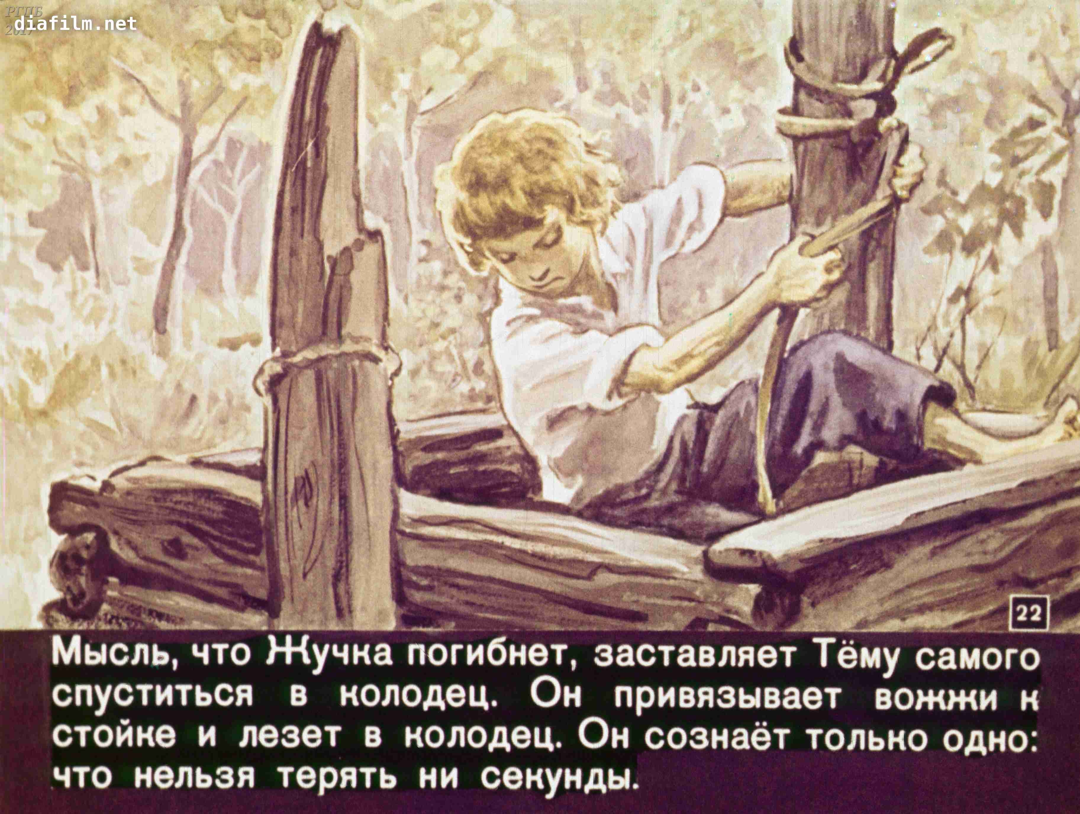 Гарина Михайловского произведение тема и жучка
