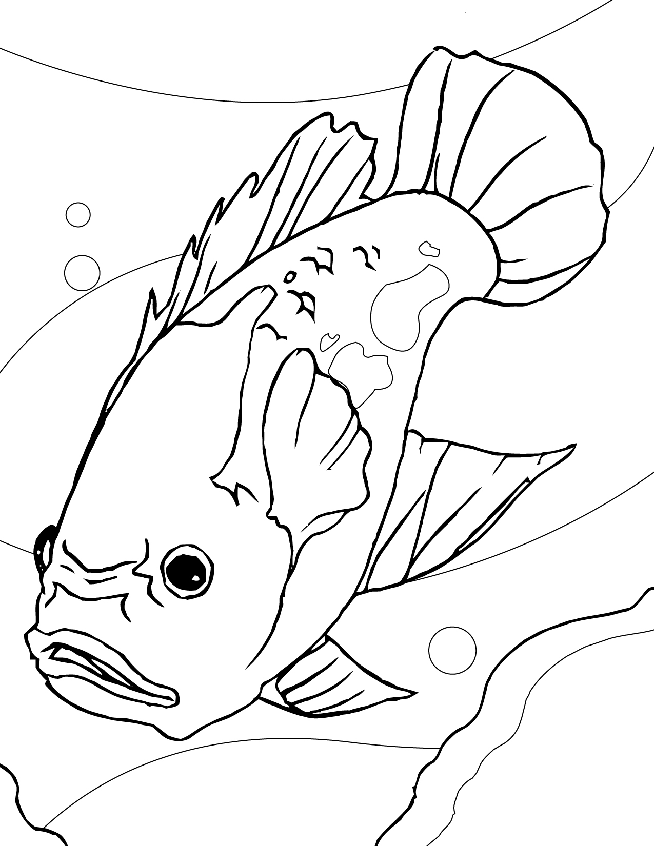 Раскраска аквариумные рыбы