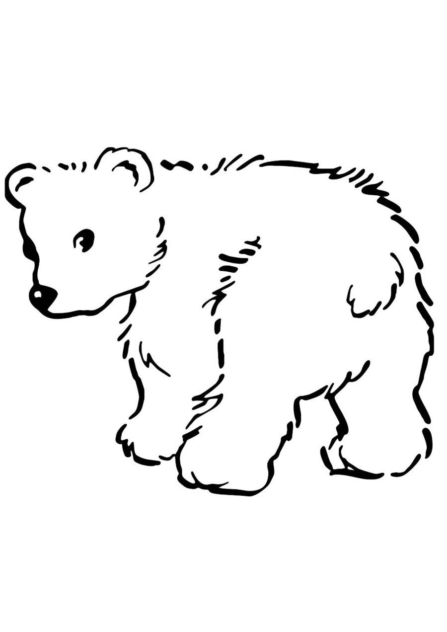 Контурный рисунок медведицы и медвежонка