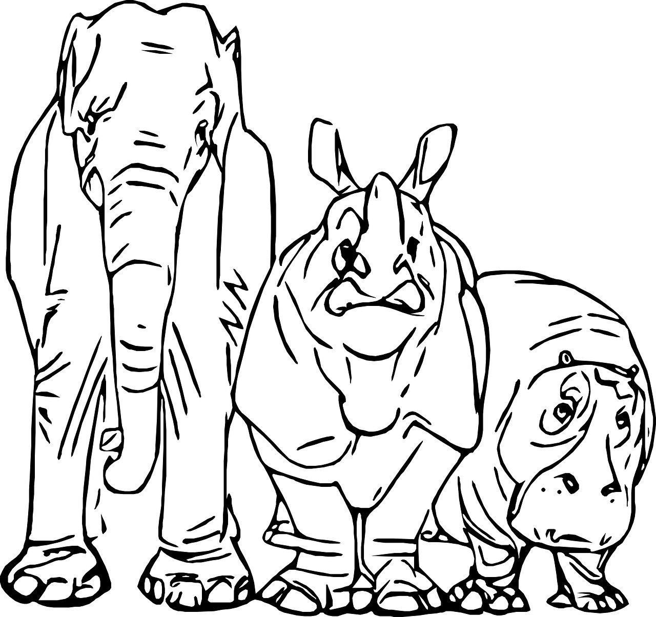 Раскраска носорог и Бегемот
