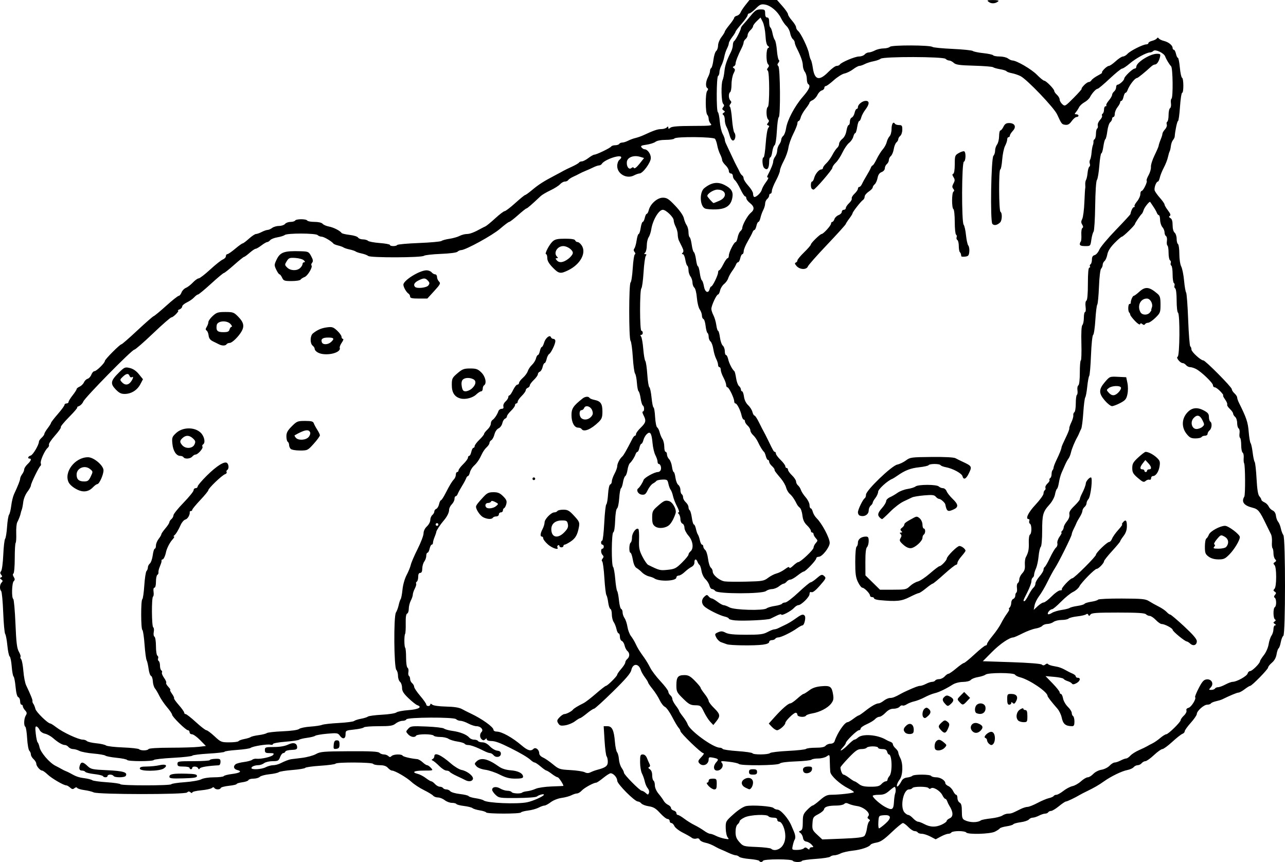 Раскраска носорог спит