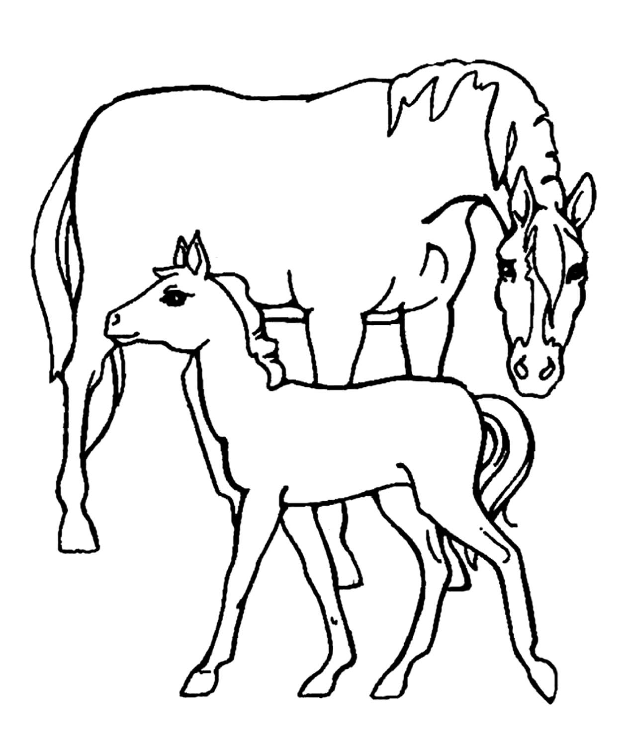 Раскраска лошадь с жеребенком