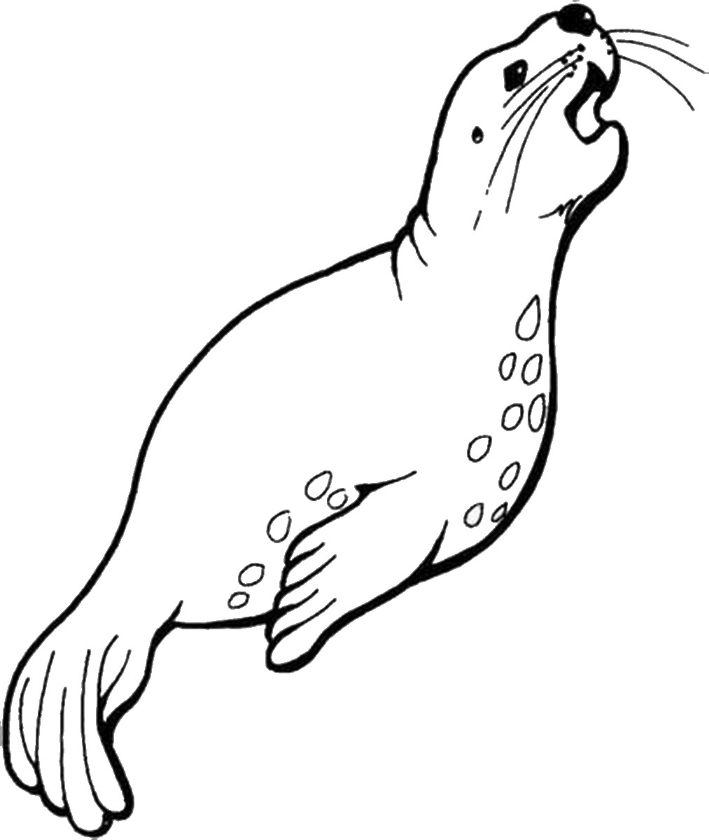 Тюлень морской котик морской Лев морской леопард
