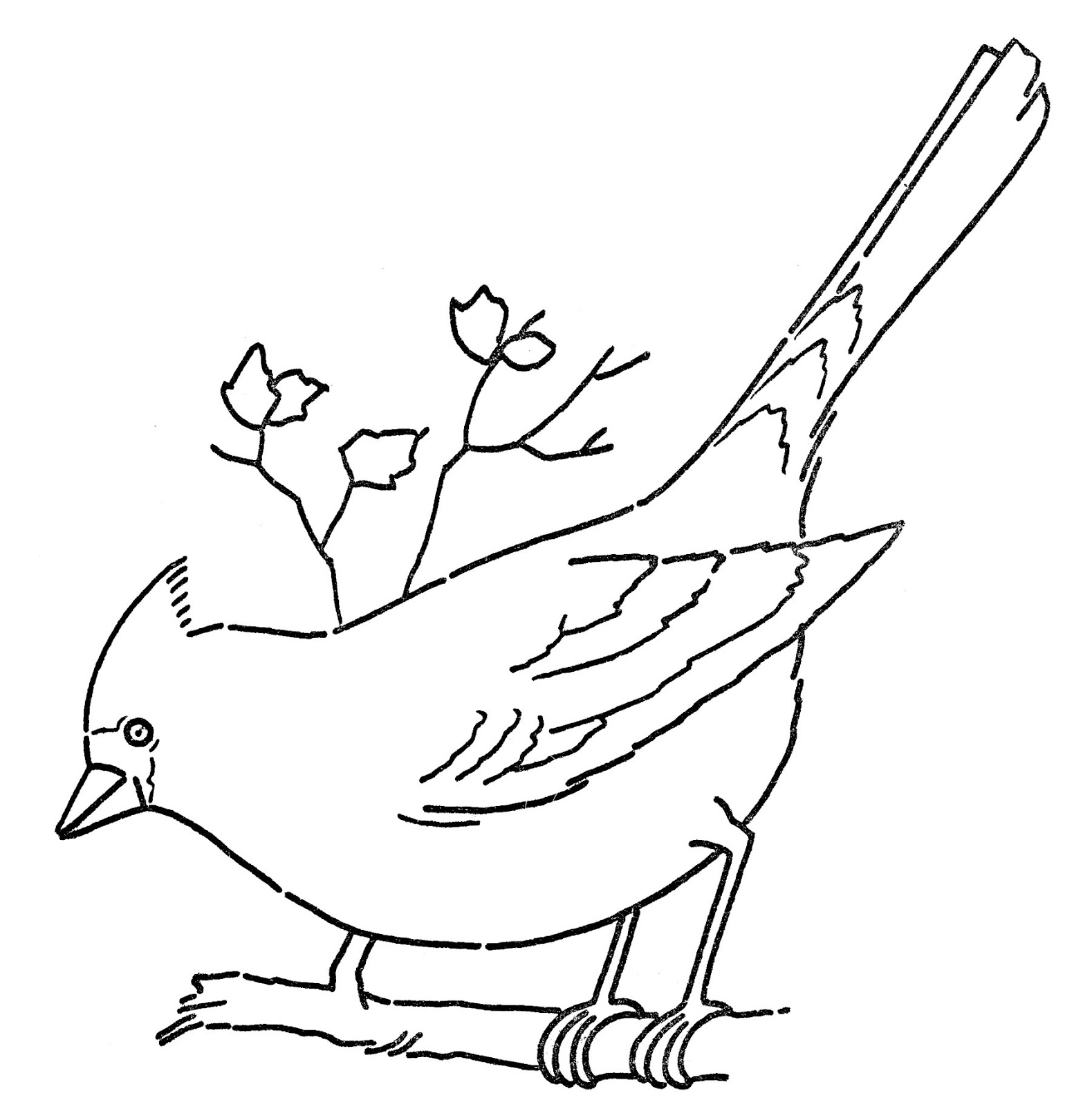 Трафареты птиц для рисования