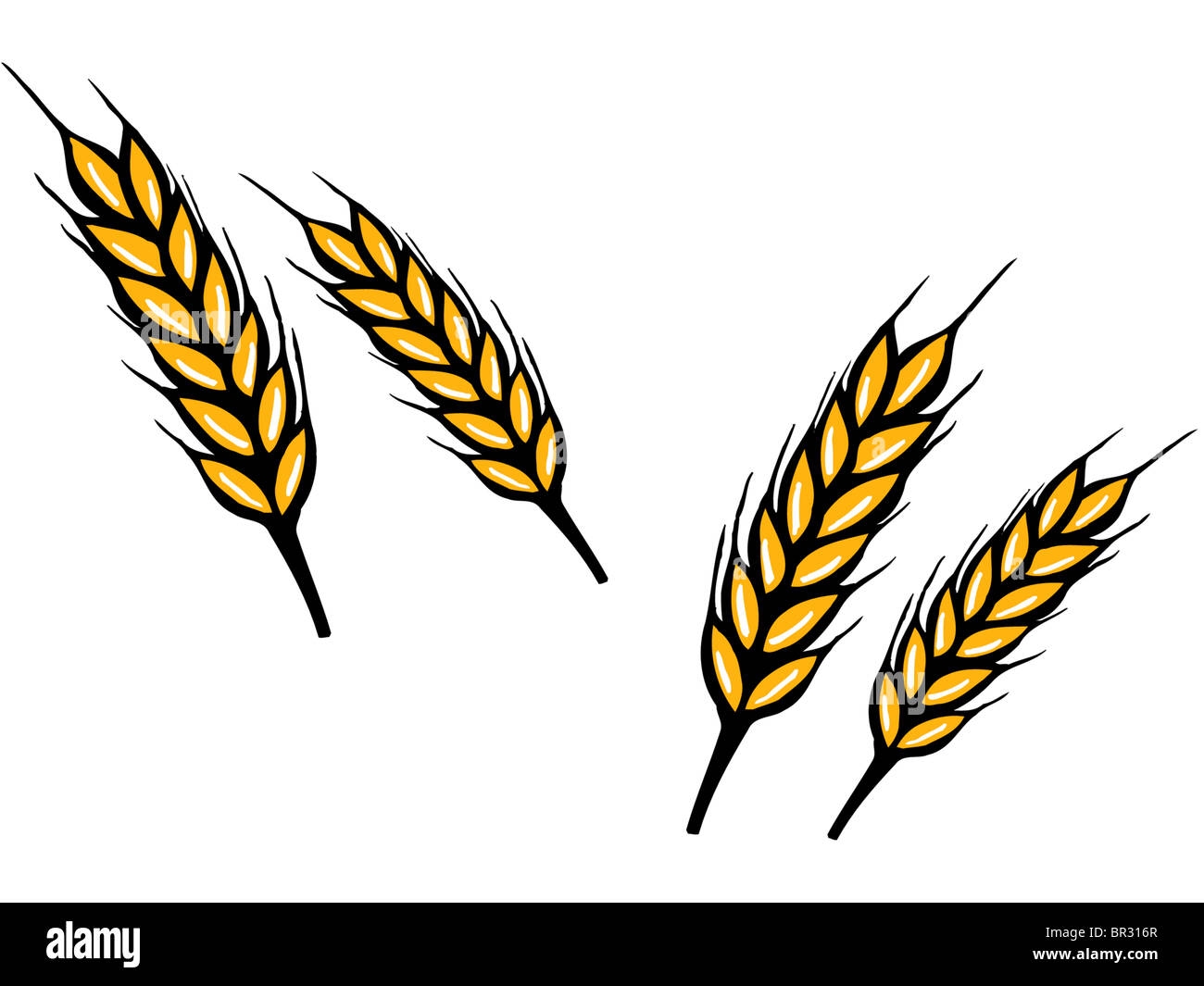 Трафарет колосок пшеницы для вырезания