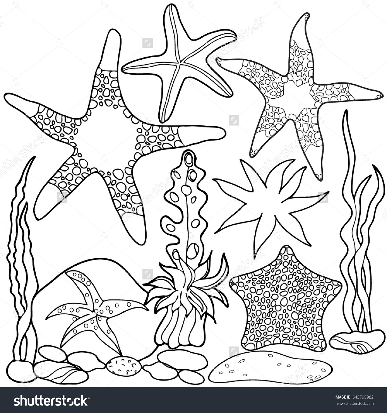 Раскраска морские звезды и кораллы