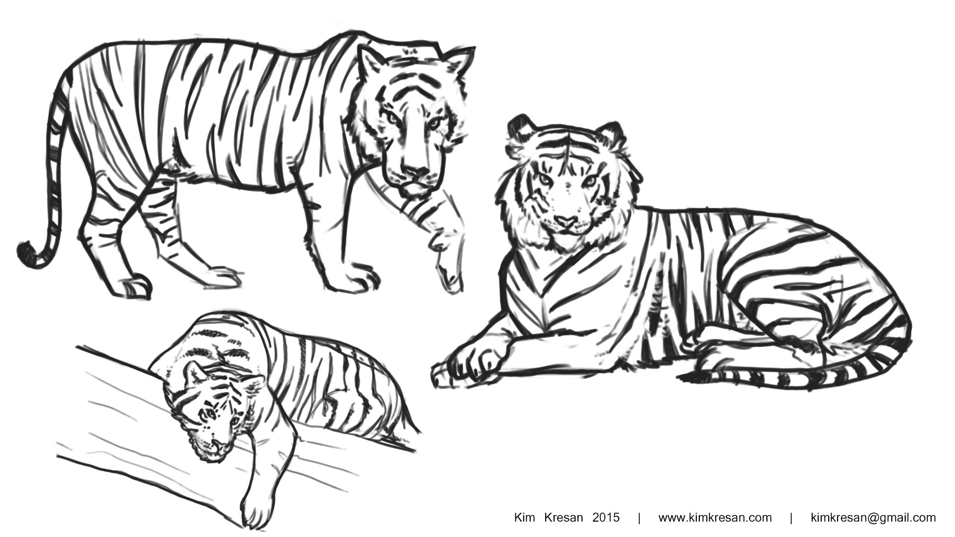 Трафарет тигрица с тигренком