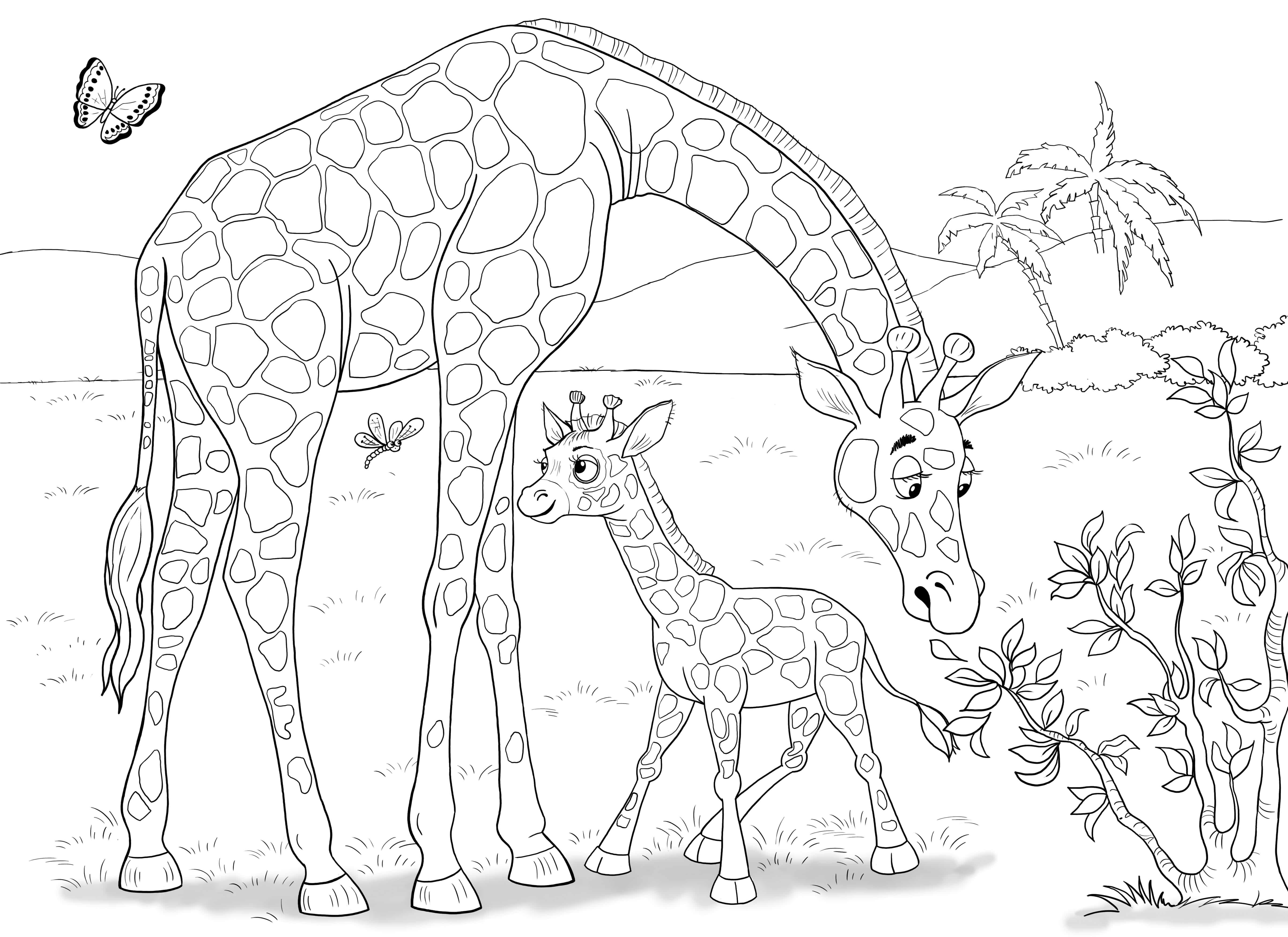 Жираф в зоопарке раскраска для детей