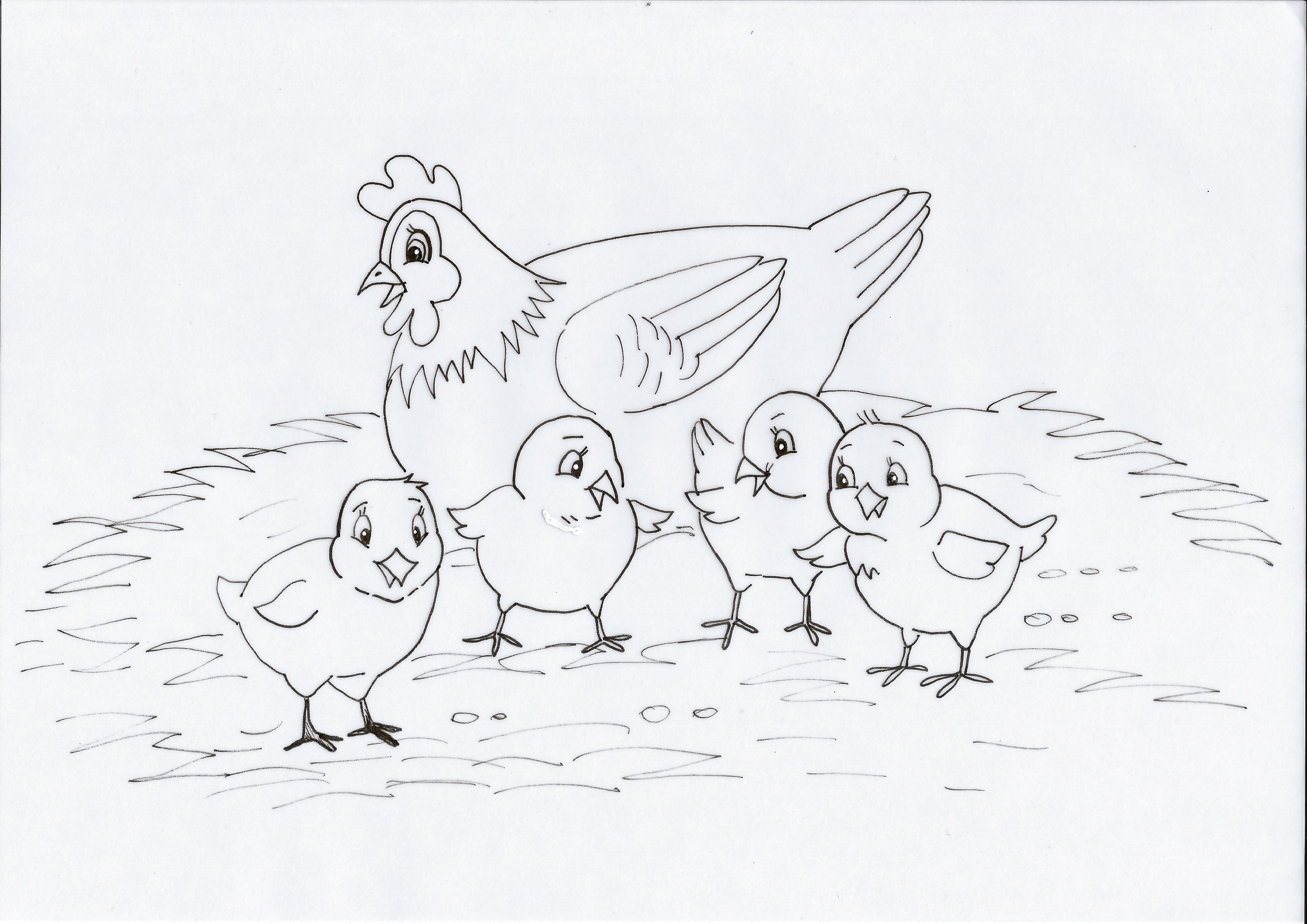 Курица с цыпленком раскраска для малышей