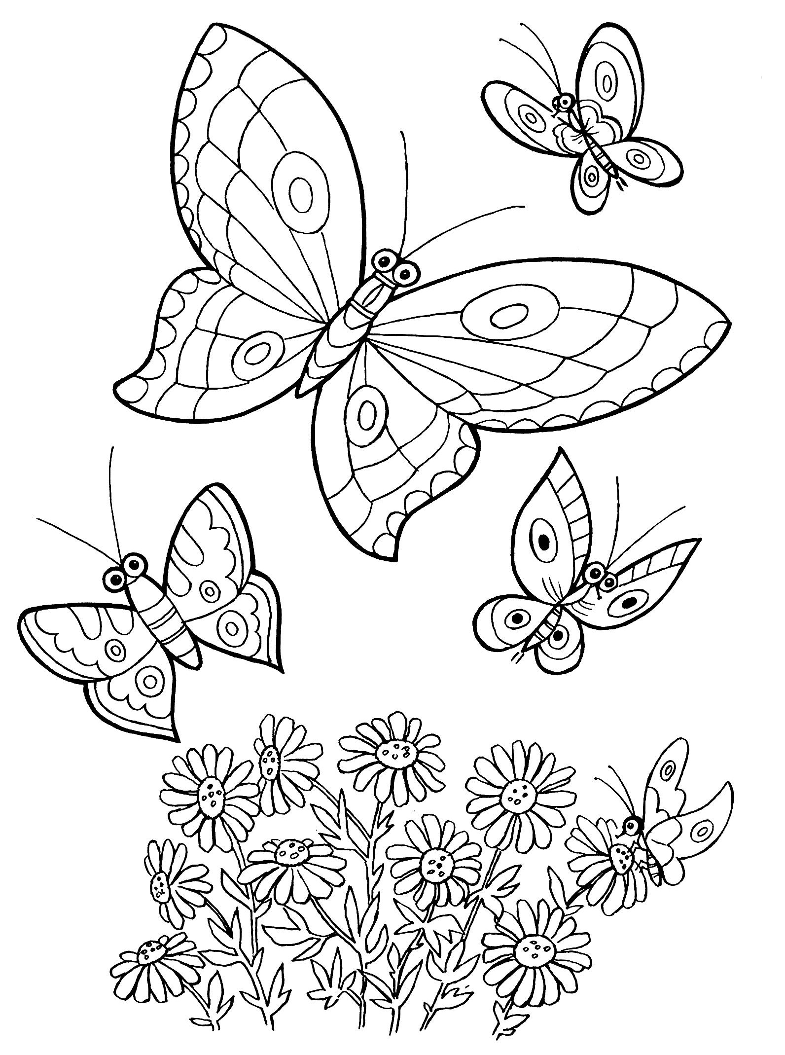 Цветы и бабочки. Раскраска