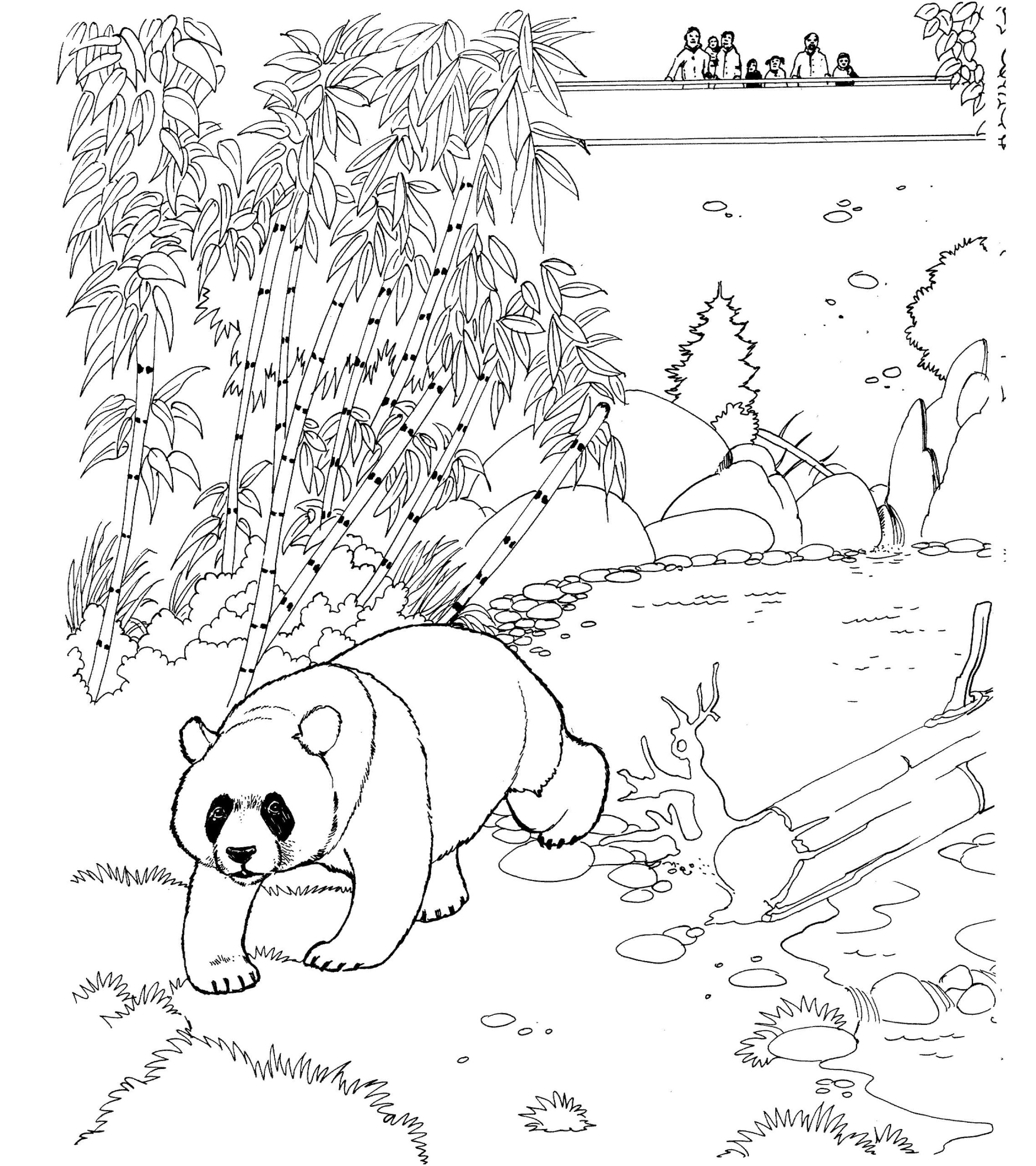 Раскраска Медвежонок в лесу