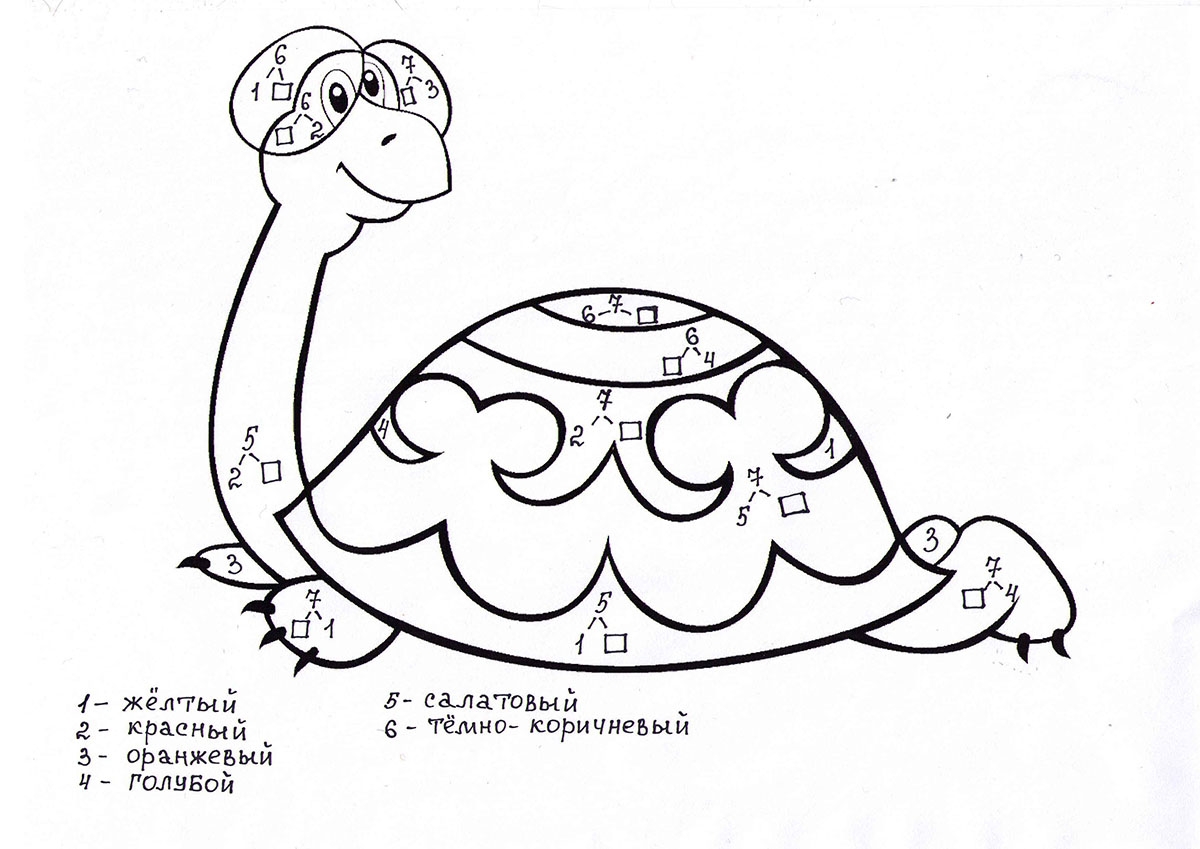 Математическая раскраска черепаха