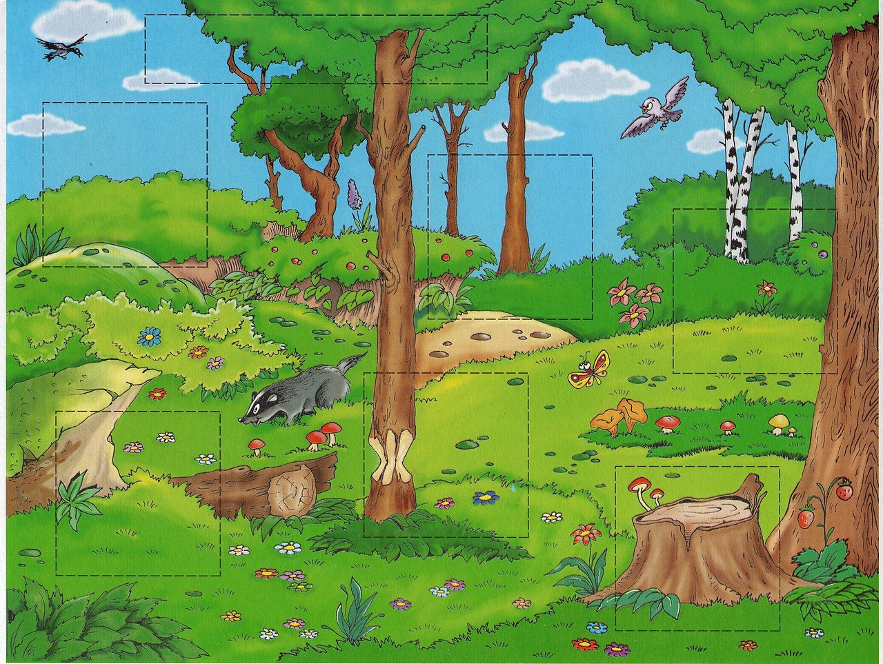 Иллюстрации с изображением леса
