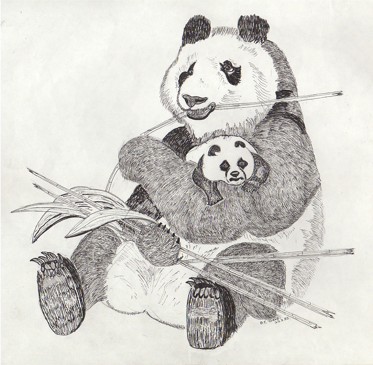 Панда рисунок карандашом для срисовки