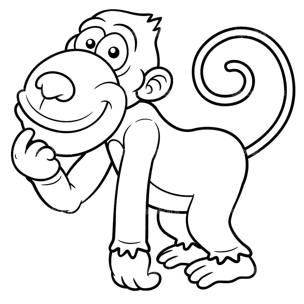 Раскраска смешная обезьянка