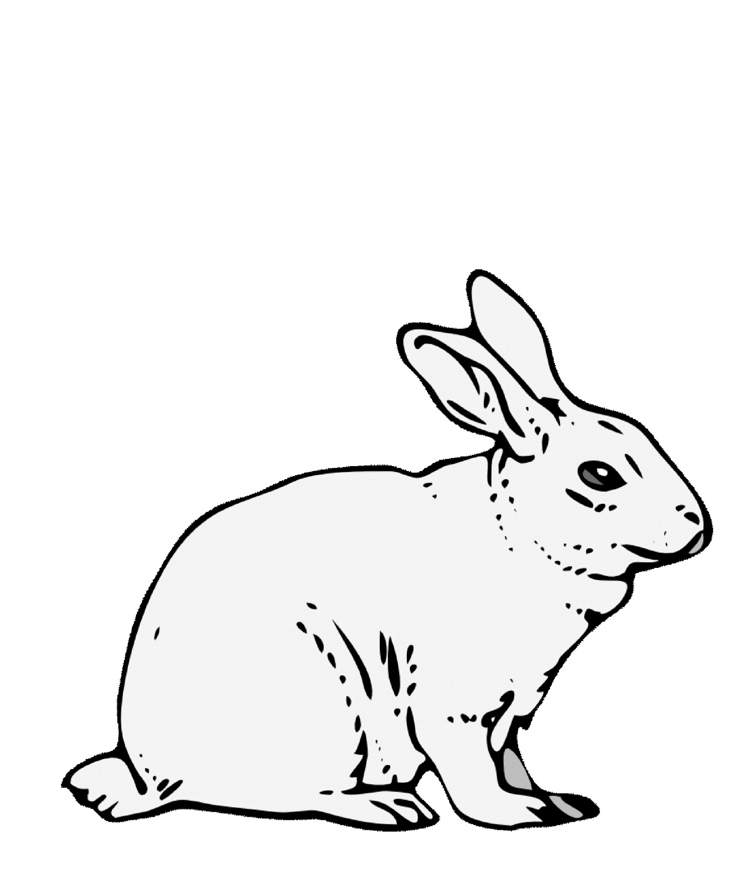 Заяц рисунок
