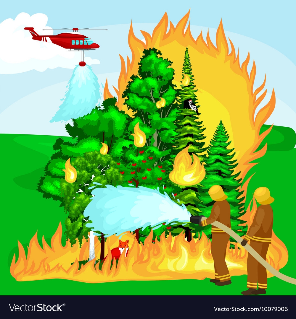 Лесные пожары для детей