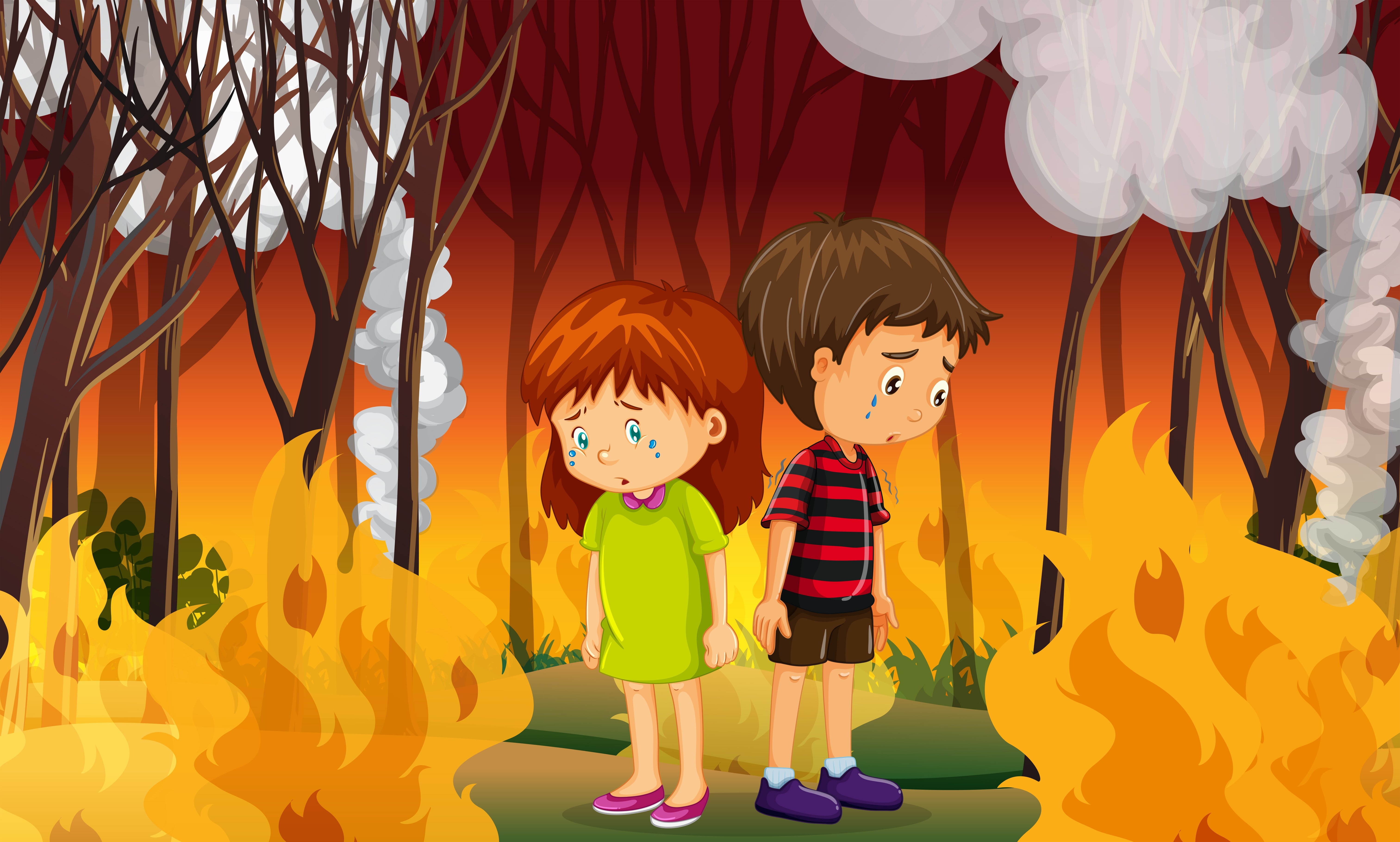 Пожар в лесу для дошкольников
