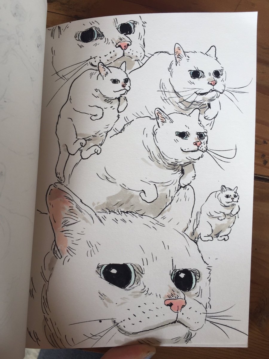 Рисунки в скетчбуке котики