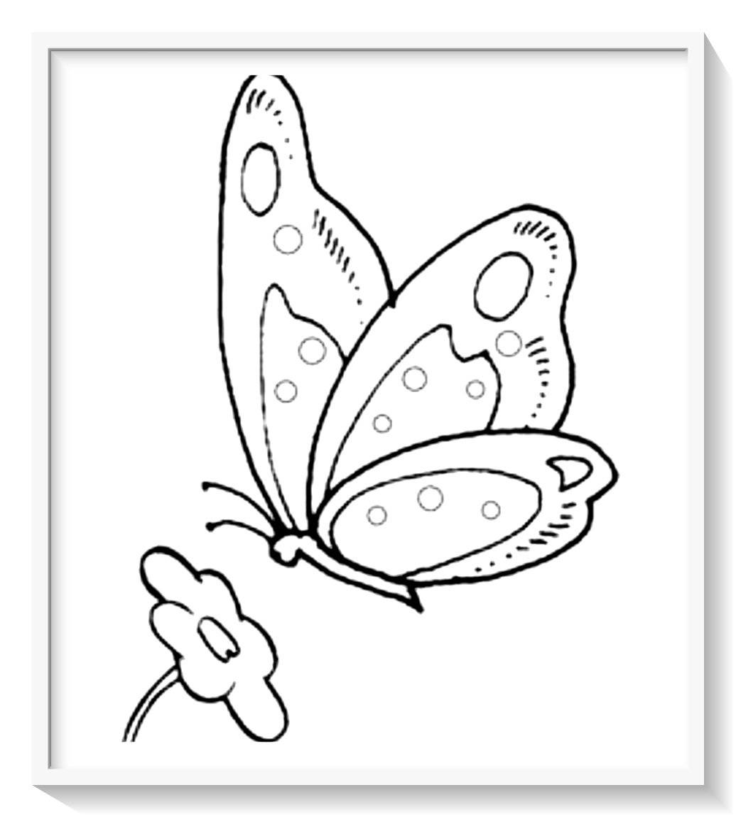 Рисование бабочки раскраска