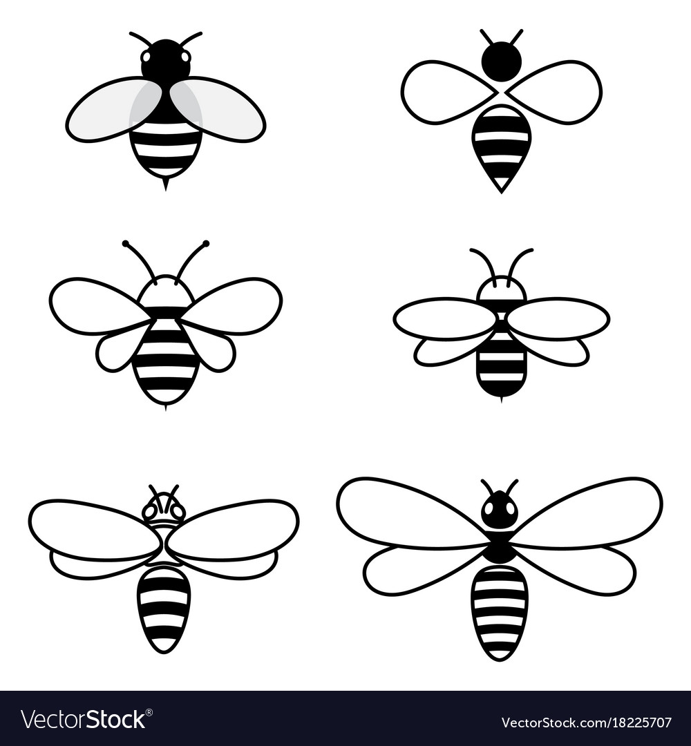 Пчела схематично