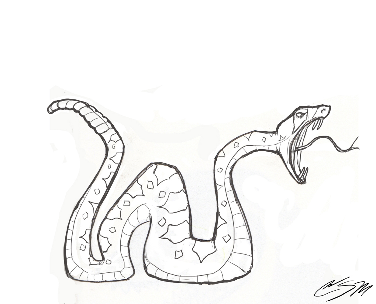 Змеи в разных ракурсах