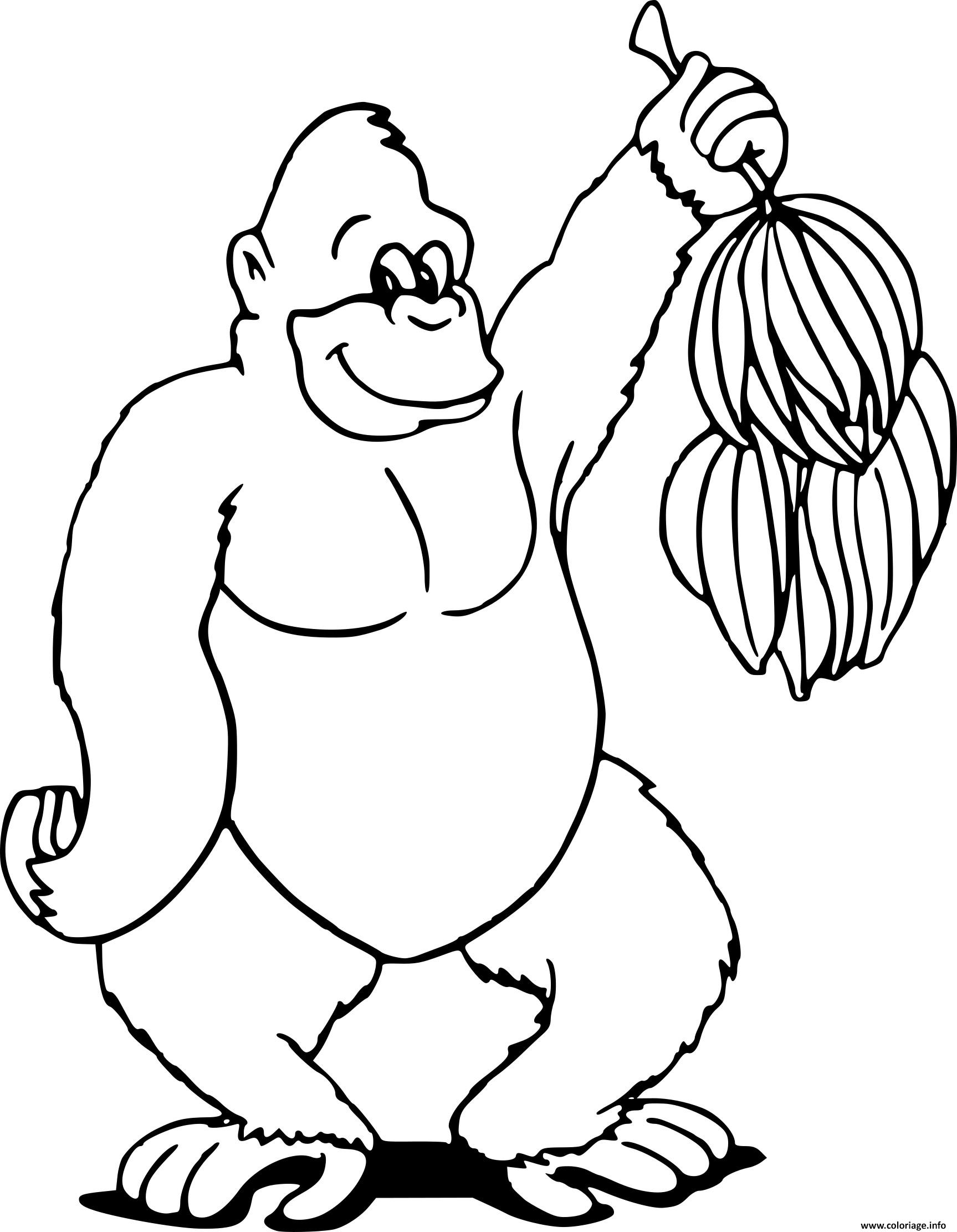 Раскраска горилла для детей 7 лет